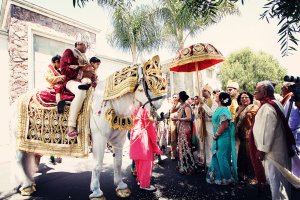 the grand indian wedding company, mumbai, india