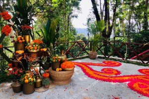 best destination weddings in coorg,